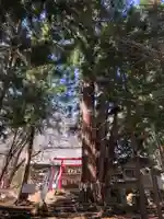 磐椅神社(福島県)