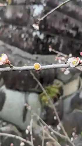 太部古天神社の自然