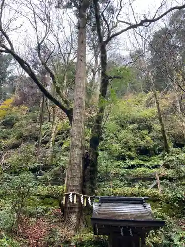 貴船神社奥宮の自然