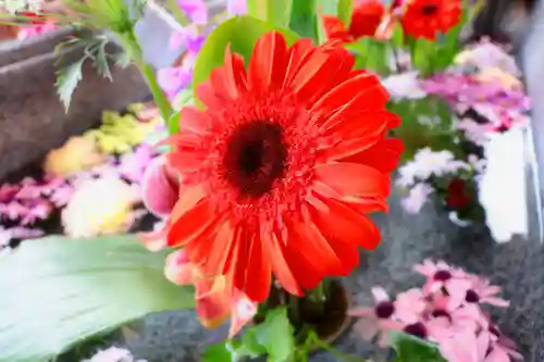 三津厳島神社の自然