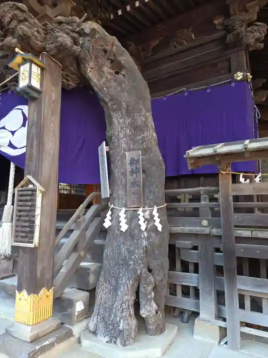 子之神社(神奈川県)