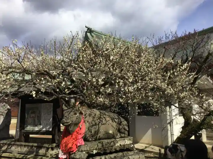 北野天満宮(京都府)