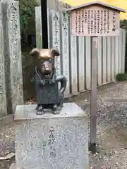 金刀比羅宮の狛犬