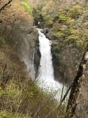 西光寺の自然