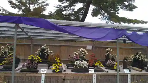 橿原神宮(奈良県)