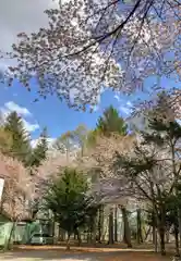 大谷地神社の景色