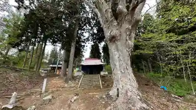金松寺(山形県)