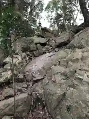 大甕神社の自然