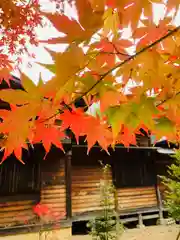 滑川神社 - 仕事と子どもの守り神の建物その他