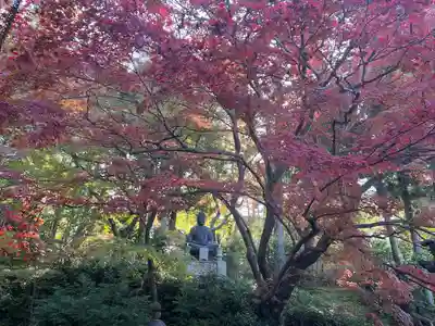 榮攝院（栄摂院）(京都府)