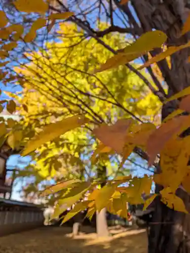 諏訪神社(東京都)