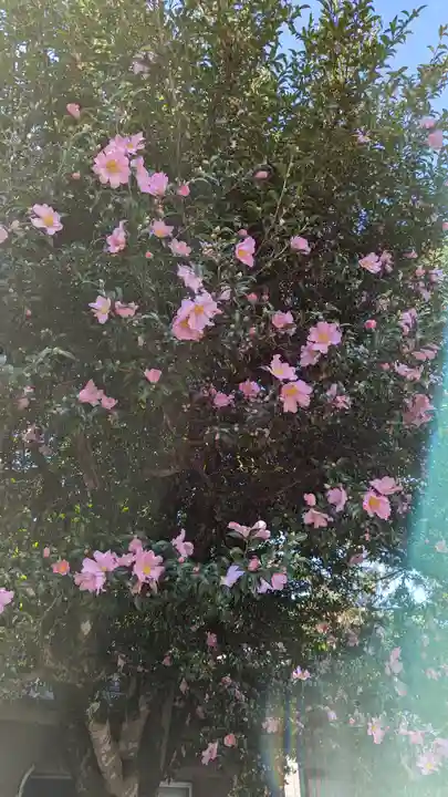 乙訓寺(京都府)