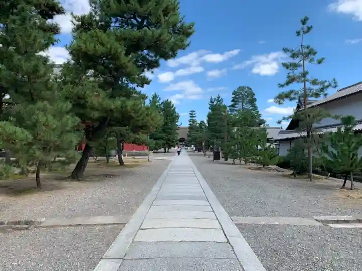 妙心寺(妙心禅寺)(京都府)