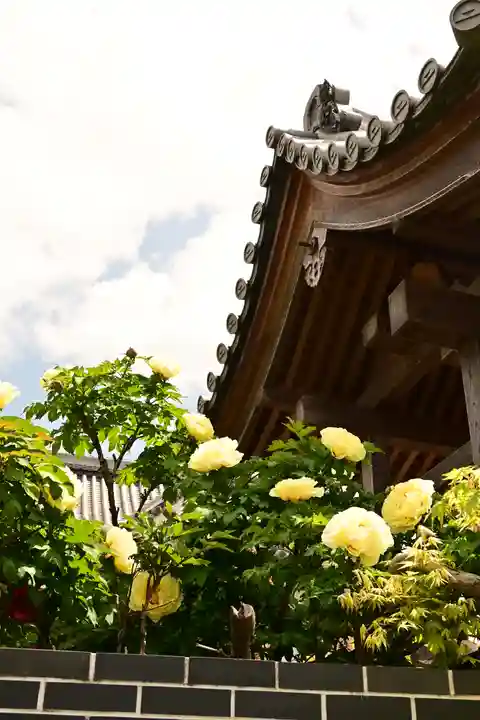 少林寺(埼玉県)