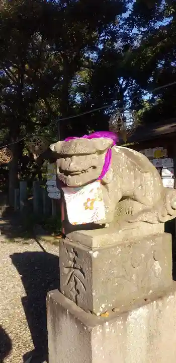 菊田神社の狛犬