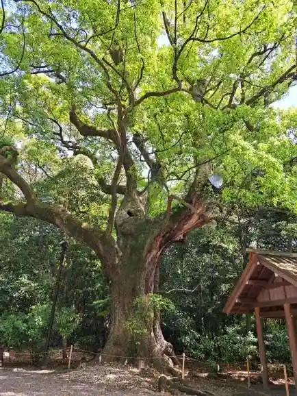 月夜見宮(豊受大神宮別宮)(三重県)