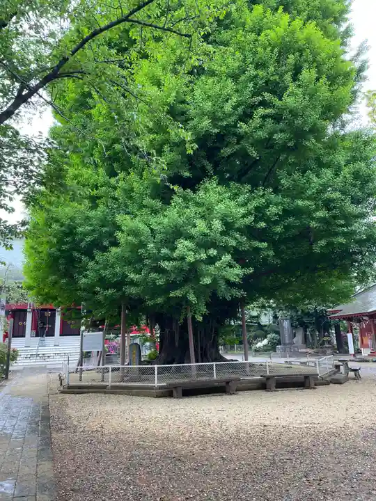 千葉寺(千葉県)