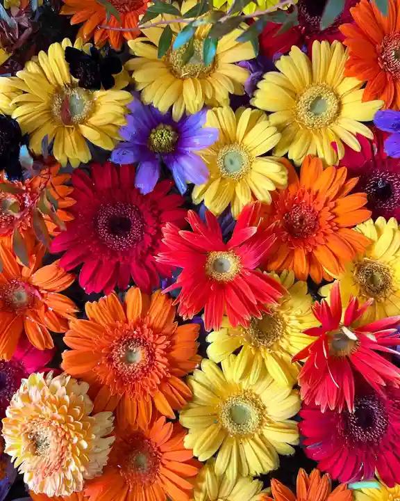 札幌諏訪神社の手水舎