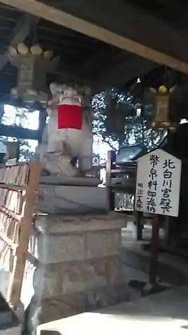 大宝八幡宮の狛犬