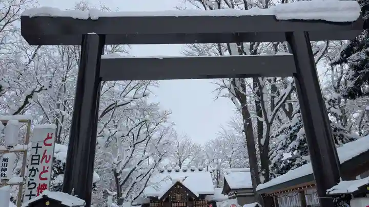 旭川神社の初詣
