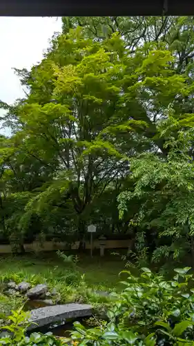 十輪寺(京都府)