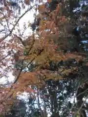 福泉寺(神奈川県)