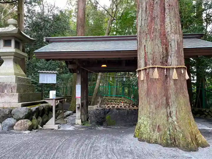 椿大神社の手水舎