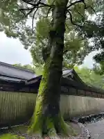 伊勢神宮外宮(豊受大神宮)(三重県)