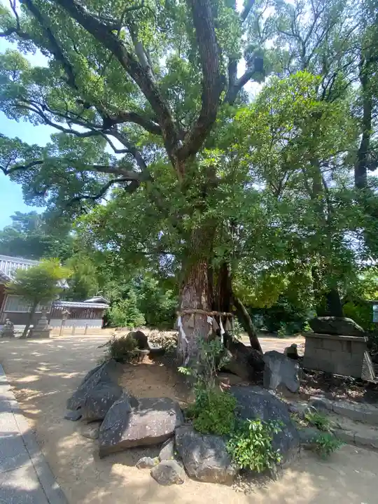 加茂神社の自然