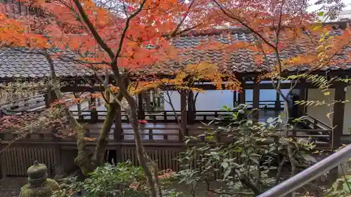 禅林寺（永観堂）(京都府)