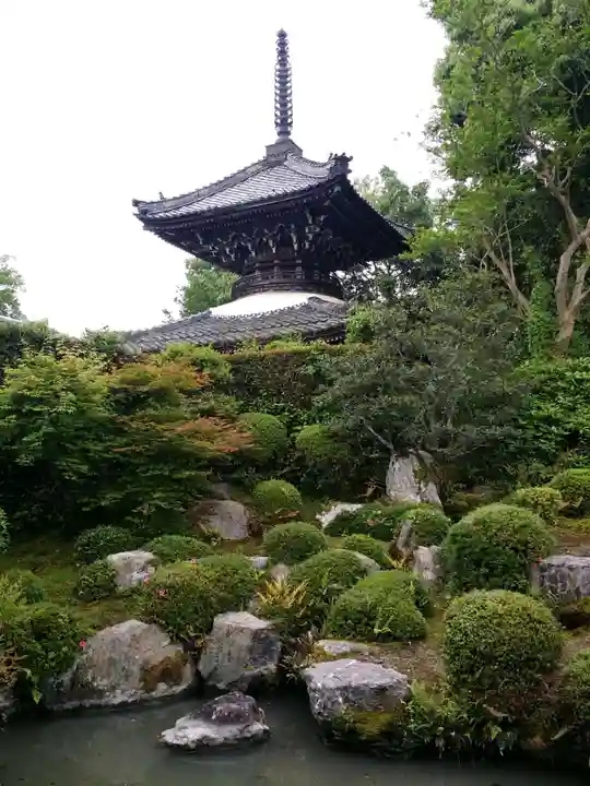 穴太寺の庭園