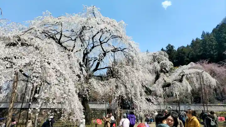 清雲寺(埼玉県)
