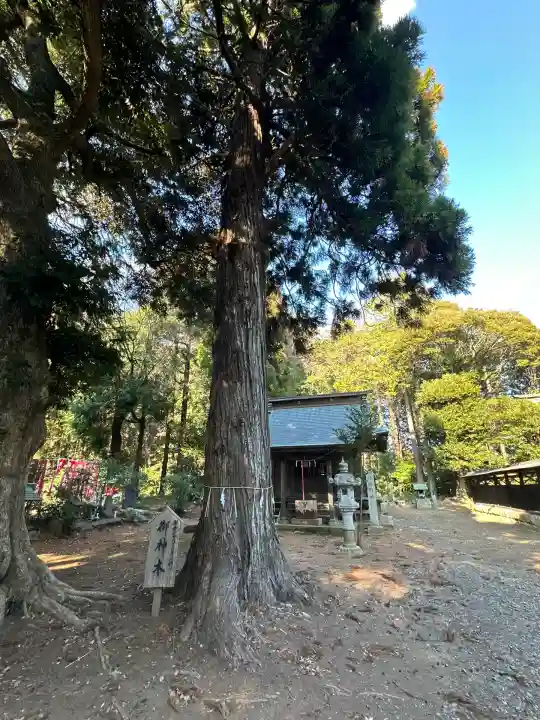 瀧神社(茨城県)