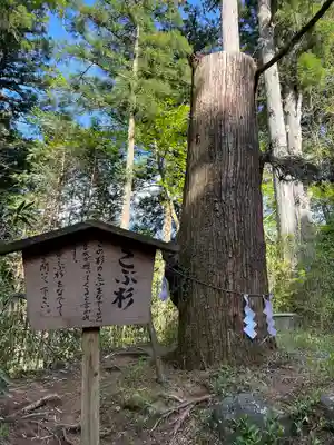 本宮神社（日光二荒山神社別宮）(栃木県)