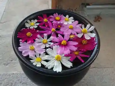 菅生神社の手水舎