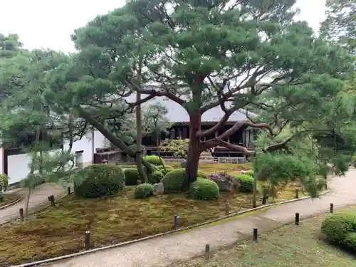 青蓮院門跡(京都府)