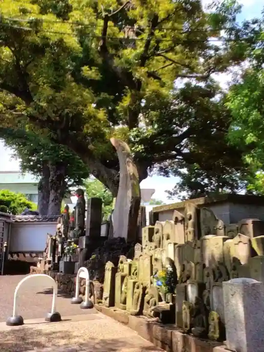 光明院(東京都)