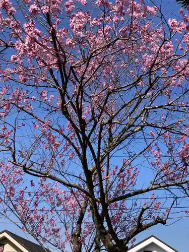 厳島神社(神奈川県)