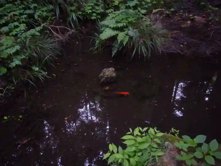 行道山 浄因寺の自然