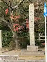 木嶋坐天照御魂神社(京都府)