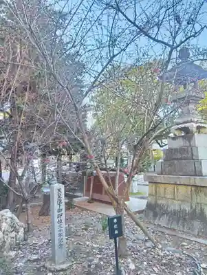 加納天満宮(岐阜県)