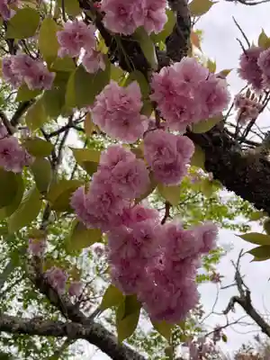 南院(和歌山県)