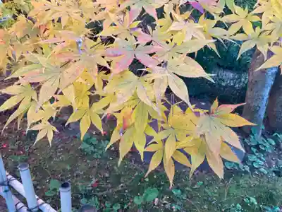 本土寺(千葉県)