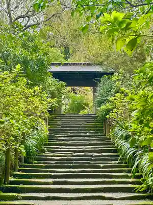 明月院(神奈川県)