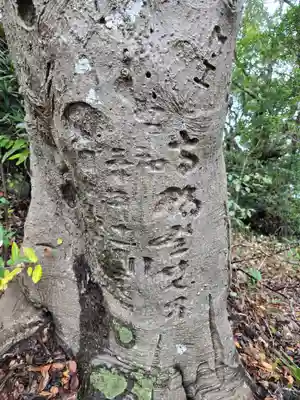 雲見浅間神社(静岡県)