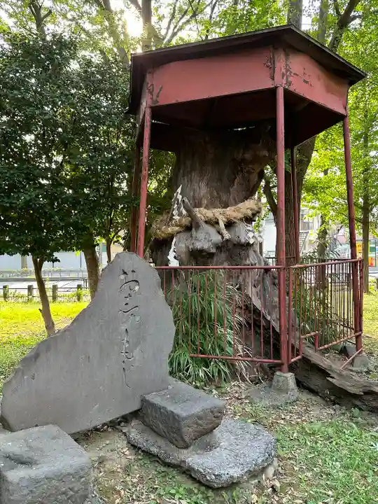神明大神(中丸子神社)(神奈川県)