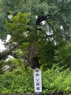 七社神社(東京都)