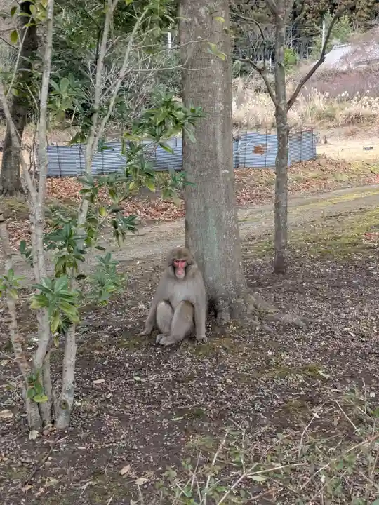 水澤寺(水澤観世音)(群馬県)