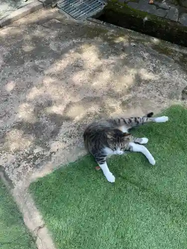 王子神社(徳島県)
