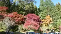 玉龍寺(岐阜県)